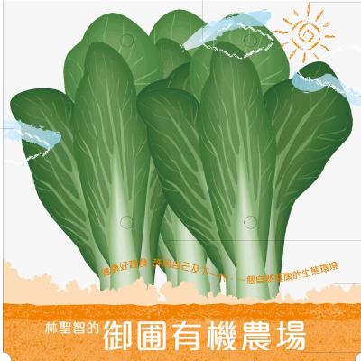 有機蔬菜包裝袋設計