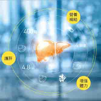 保健食品A4包折DM設計