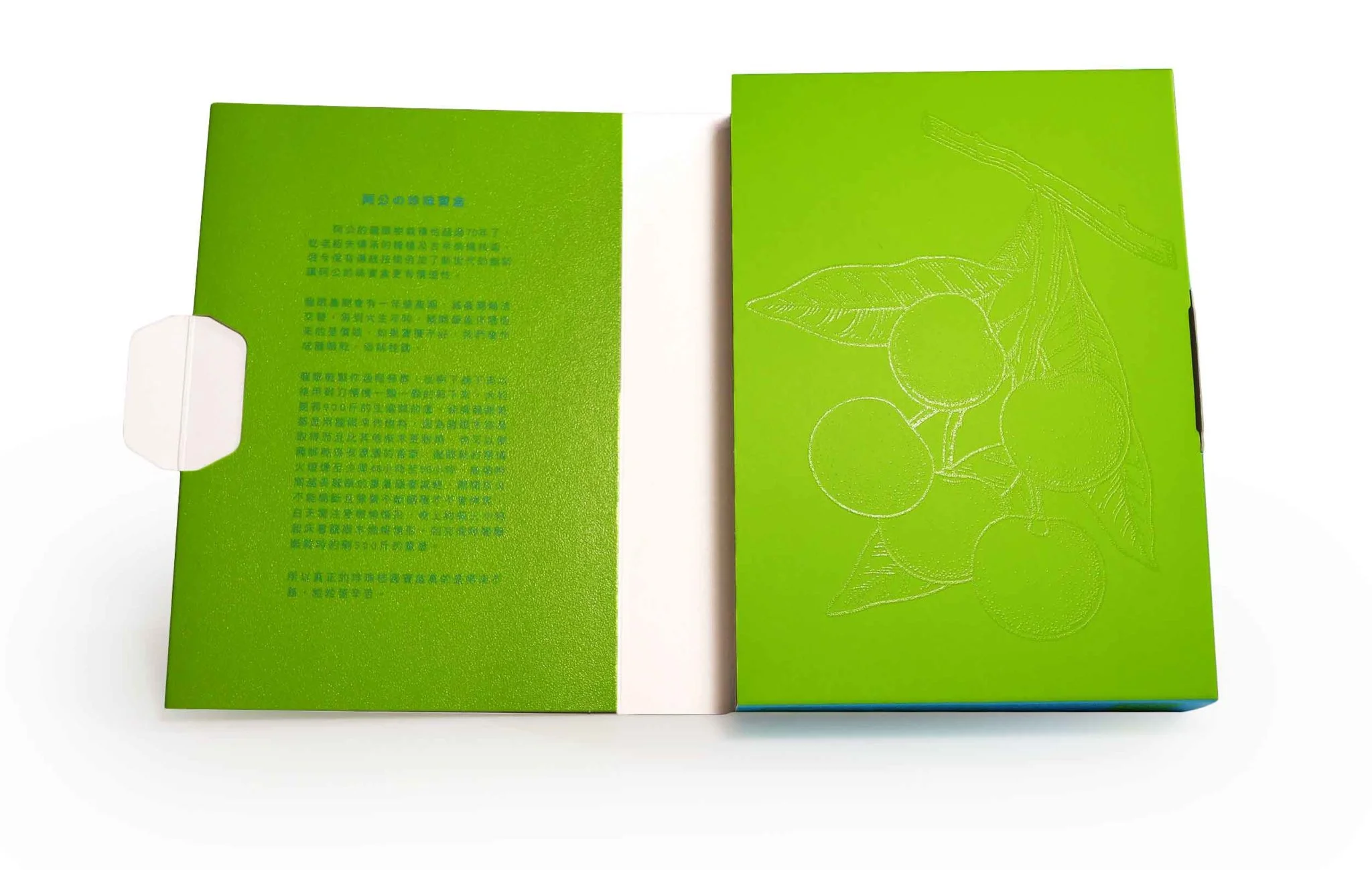 龍眼乾書型禮盒展開設計