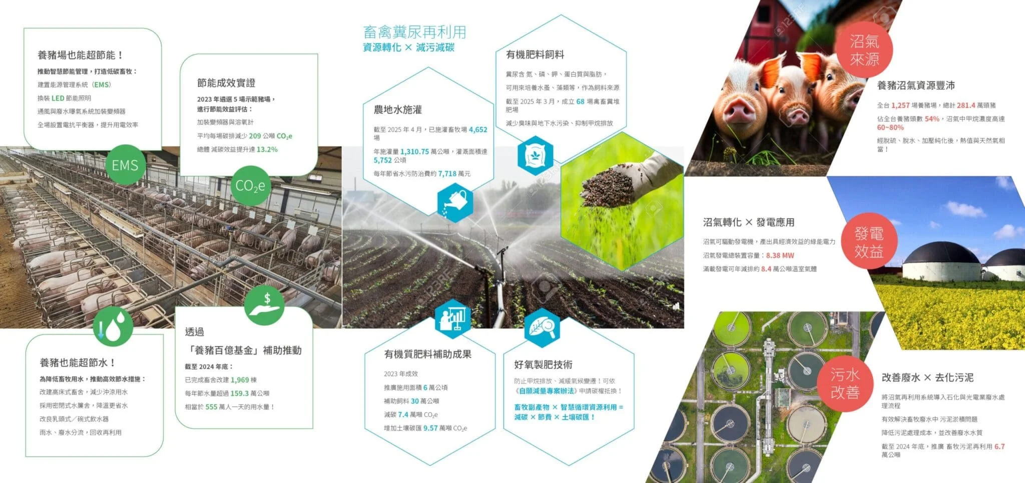 N字折DM設計