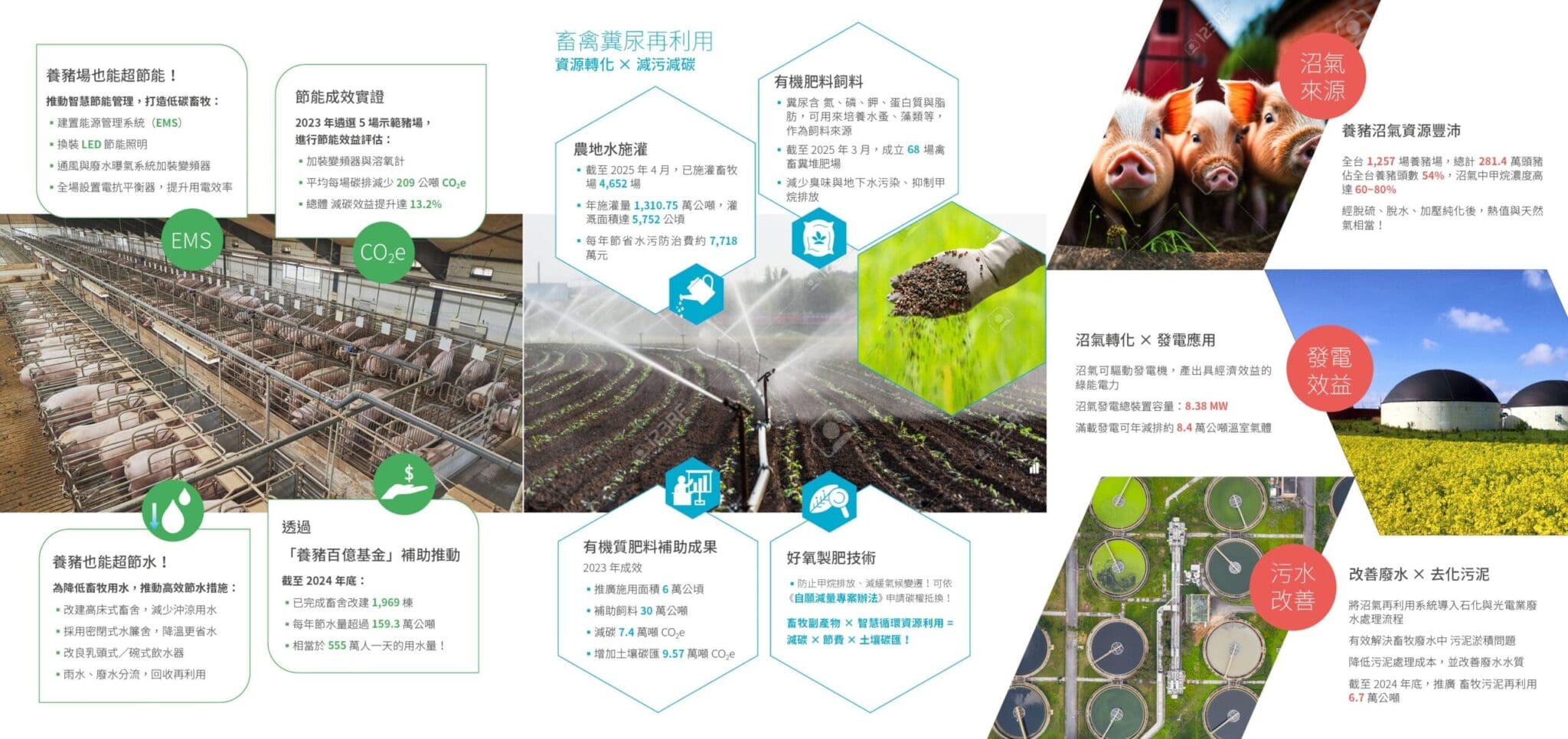 N字折DM設計